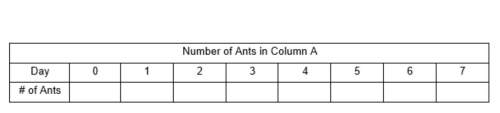 Show all you work these questions are about two ant colonies and their rate of growth. u