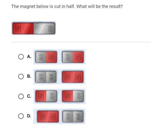 The magnet below is cut in half. what will be the result?