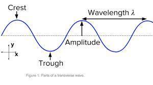 Which points on the wave are the trough and the crest?