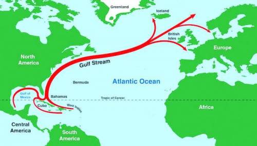 Which statement describes an effect of the Gulf Stream?

O A. It carries cold water into the warm Gu