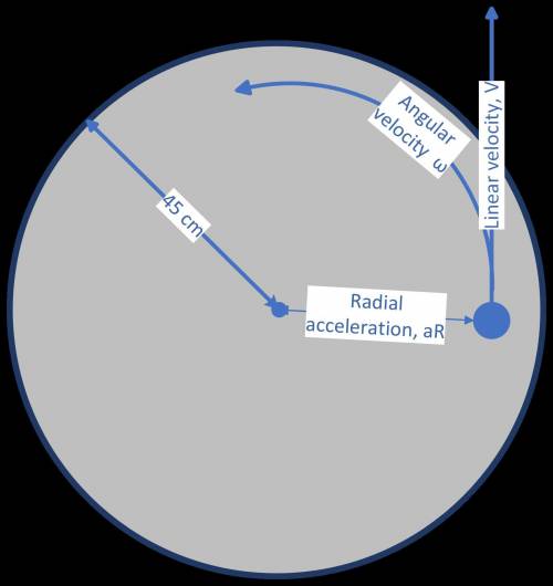 A horizontal disc of radius 45 cm rotates about a vertical axis through its centre. The disc makes o