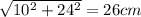 \sqrt{10^2 + 24^2}  = 26 cm