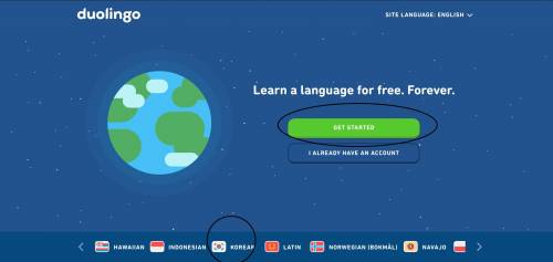 Is there someone on here to can teach me Korean for free?? or for interest! I wanna learn!