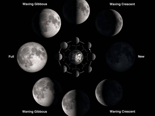 A student viewed the moon through binoculars one week after a new moon.Which image shows the phases