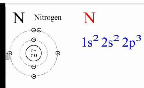 Nitrogen (N) has an atomic number of 7 and an atomic mass of 14. Which of the following correctly sh