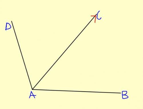 Sketch, mark and label the following (GEOMETRY)