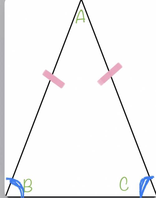 Triangle with exactly 
2 equal sides