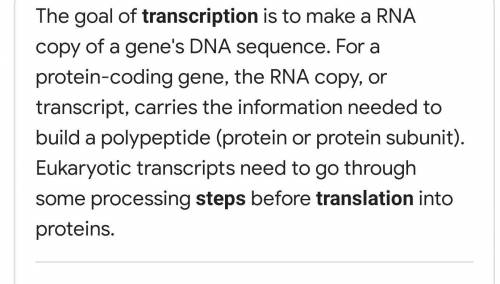 A lot of points marking people as BRIANLIST

What is the the purpose and process of transcription an