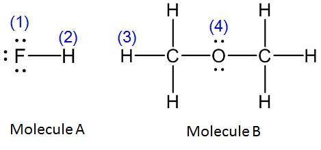 Hydrogen bonding exits between Molecule A and Molecule B as an intermolecular force. Use the numbers