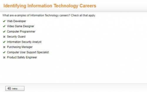 What are examples of Information Technology careers? Check all that apply.

U
Web Developer
Video Ga