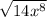 \sqrt{14x^8}