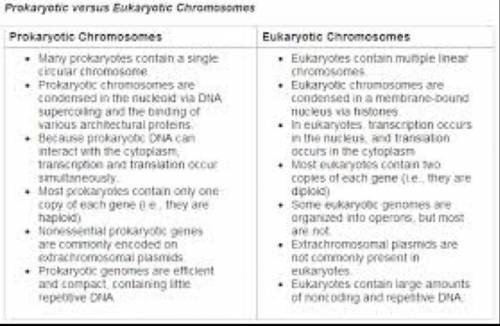 Differentiate between prokaryotic and eukaryotic cells