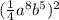 (\frac{1}{4} a^8b^5)^{2}