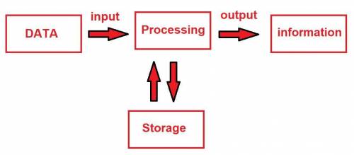 The data processing cycle consists of four steps. Draw all the steps.