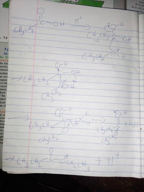 Write a mechanism for the esterification of propanoic acid with 18O-labeled ethanol. Show clearly th