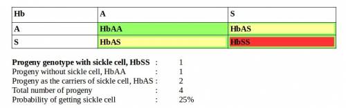 Aperson with a phenotype of hbss has sickle cell disease. a person with a phenotype of hbas allele c