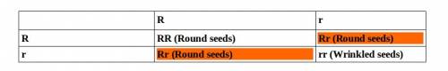 If two heterozygous plants mated, what fraction of the progeny with round seeds are genotypically he
