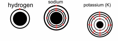 Diagram electron configuration of hydrogen (1), sodium (11), K (19) what do they have in common?