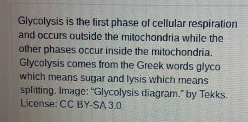 The lysing of a cell occurs in which phase?