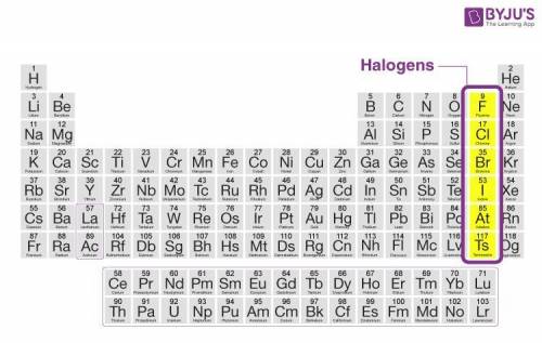 What sre the group 17 elements are known as