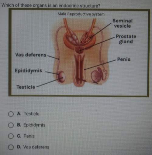 Which of these organs is an endocrine structurea. testicleb. epididymisc. penis