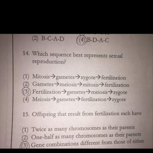 Why is 4 the correct answer answer to number 14 ? explain why and answer this