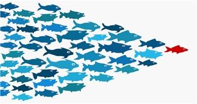 The image uses a school of fish to symbolize leadership. based on the image, the leader
