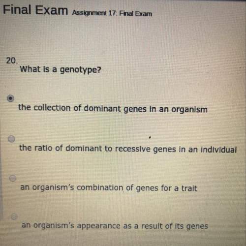 What is a genotype?  a , b , c, or d