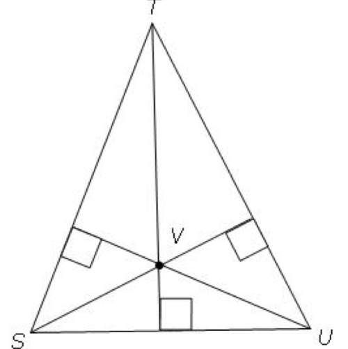 The diagram shows stu. which term describes point v?