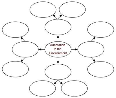 You in advance~ properly completes the cluster diagram by identifying 4 tribes and listi