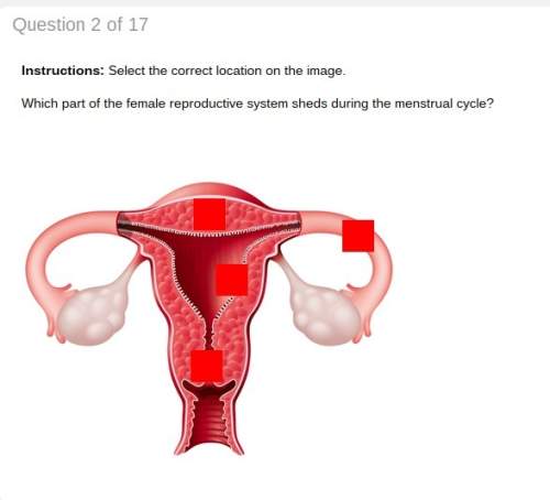Which part of the female reproductive system sheds during the menstrual cycle?