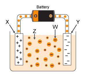 Look at the diagram of an electrolytic cell below. which part of the cell is the cathode