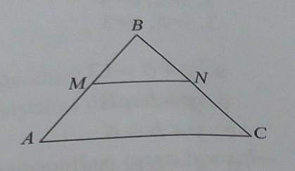 Abc is the middle line of mn in an equilateral triangle. if ab = 8 cm, then find the perimeter mbn.