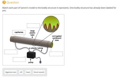 Match each part of sammi's model to the bodily structure it represents. one bodily structure has alr