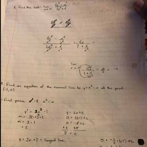 Can anyone me understand if i did these two calculus problems correctly