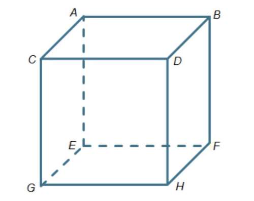 Will mark brainliest which is a diagonal through the interior of the cube? ag bg ce df