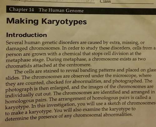 What clues to the presence of certain genetic disorders can be seen in a karyotype?