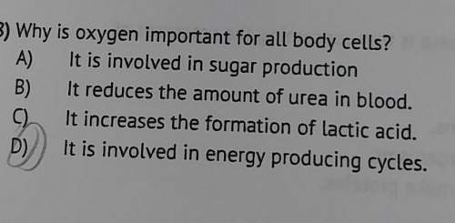 3why is oxygen important for all body cells? it is involved in sugar production