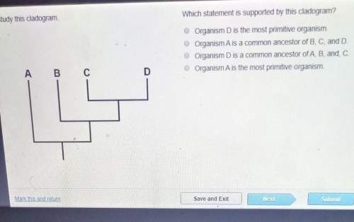 Study the cladogram which statement is supported this cladogram
