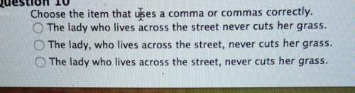 Choose the item that uses a, or commas correctly the lady who lives across the street never cuts her