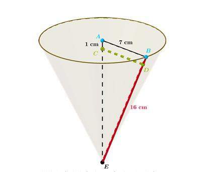 Asap asapwhat is the radius of the filled region of the cone, namely cd, rounded to the nearest hund