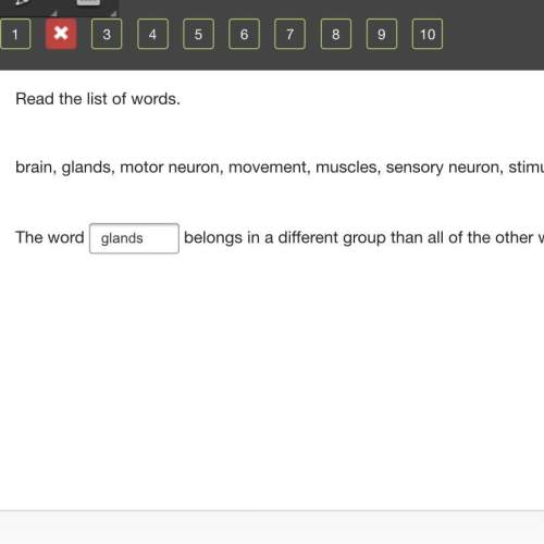 Read the list of words. brain, glands, motor neuron, movement, muscles, sens