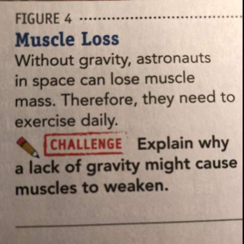 Why lack of gravity might cause muscles to weaken