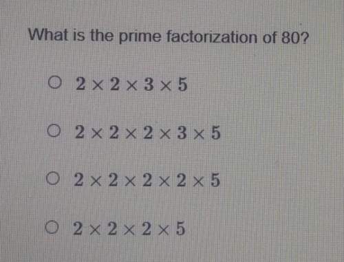 What is the prime factorization of 80?