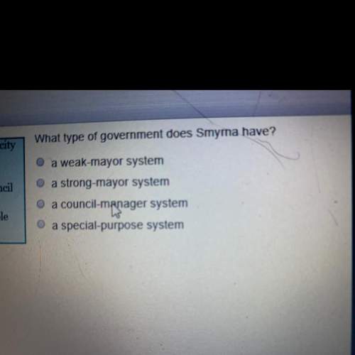 What type of government does smyrna