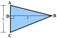 Explain how to find the area of the polygon?