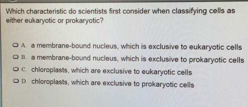 Which characteristic do scientists first consider when classifying cells aseither eukaryotic or prok