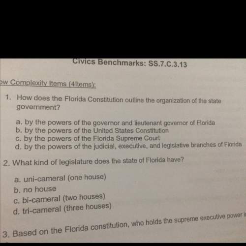 How does the florida constitution outline the organization of the state government?  a