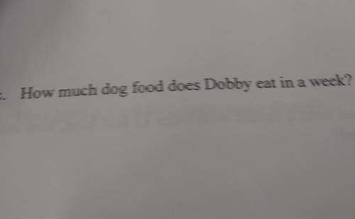 How much dog food does dobby eat in a week