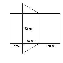 Can you me find the surface area and let me know how you got that answer plz